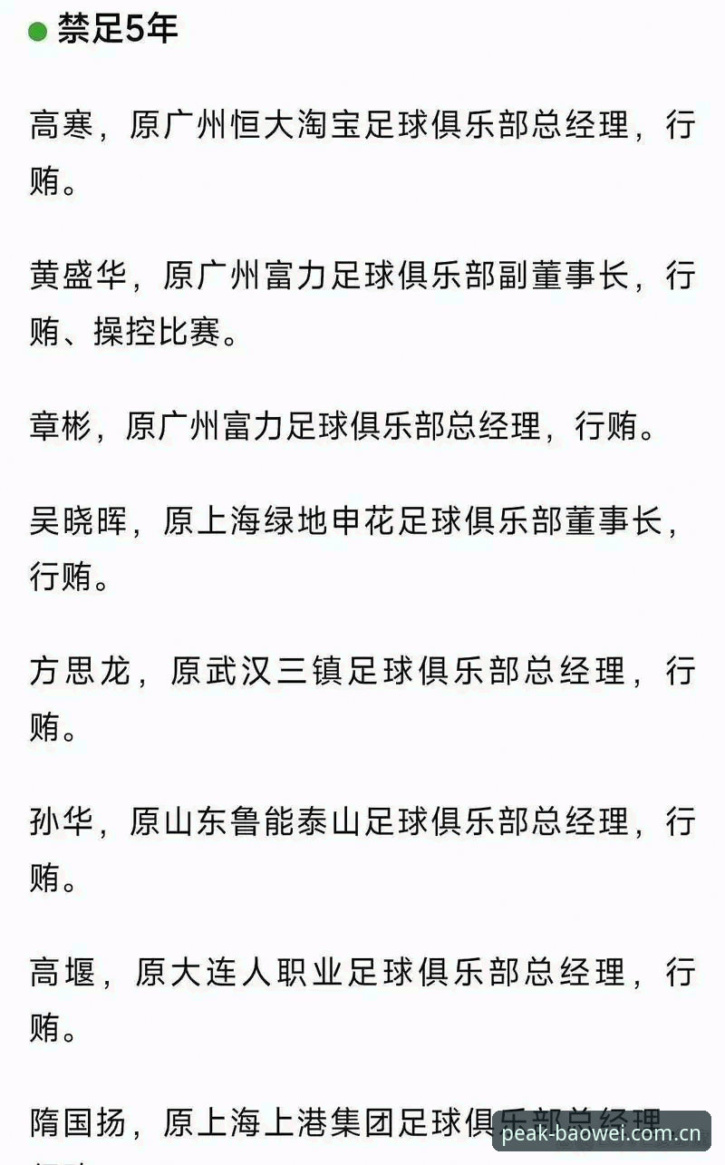 足协第三批禁足名单公布：5大违规类型与17人终身禁足的行业警示