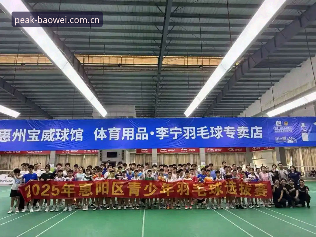 揭秘宝威体育手机版：2025最新版本背后的实战体验与下载真相